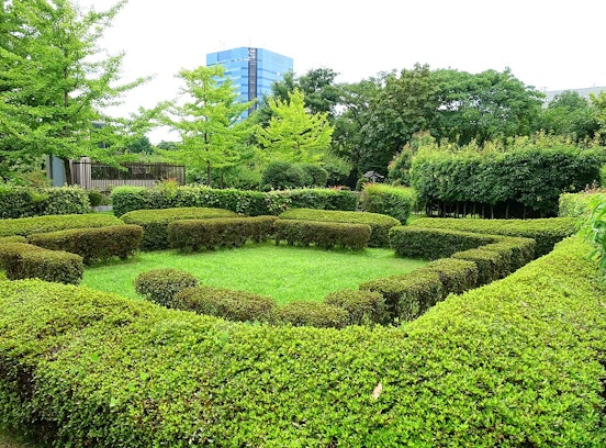Cooling cities and managing stormwater with urban trees and bioswales