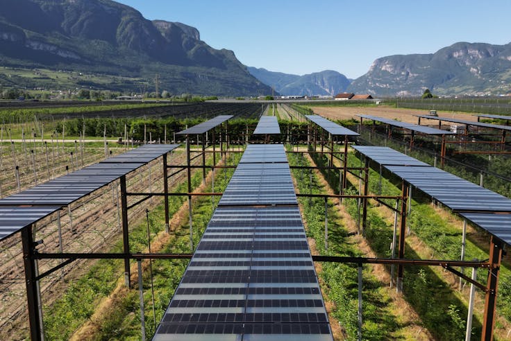 Eurac Research to Support FAO and EBRD in Assessing Cutting-Edge Agrivoltaic Solutions