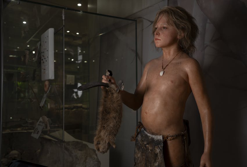 Paleogenetic study sheds light on the history of prehistoric groups in the eastern Italian Alps