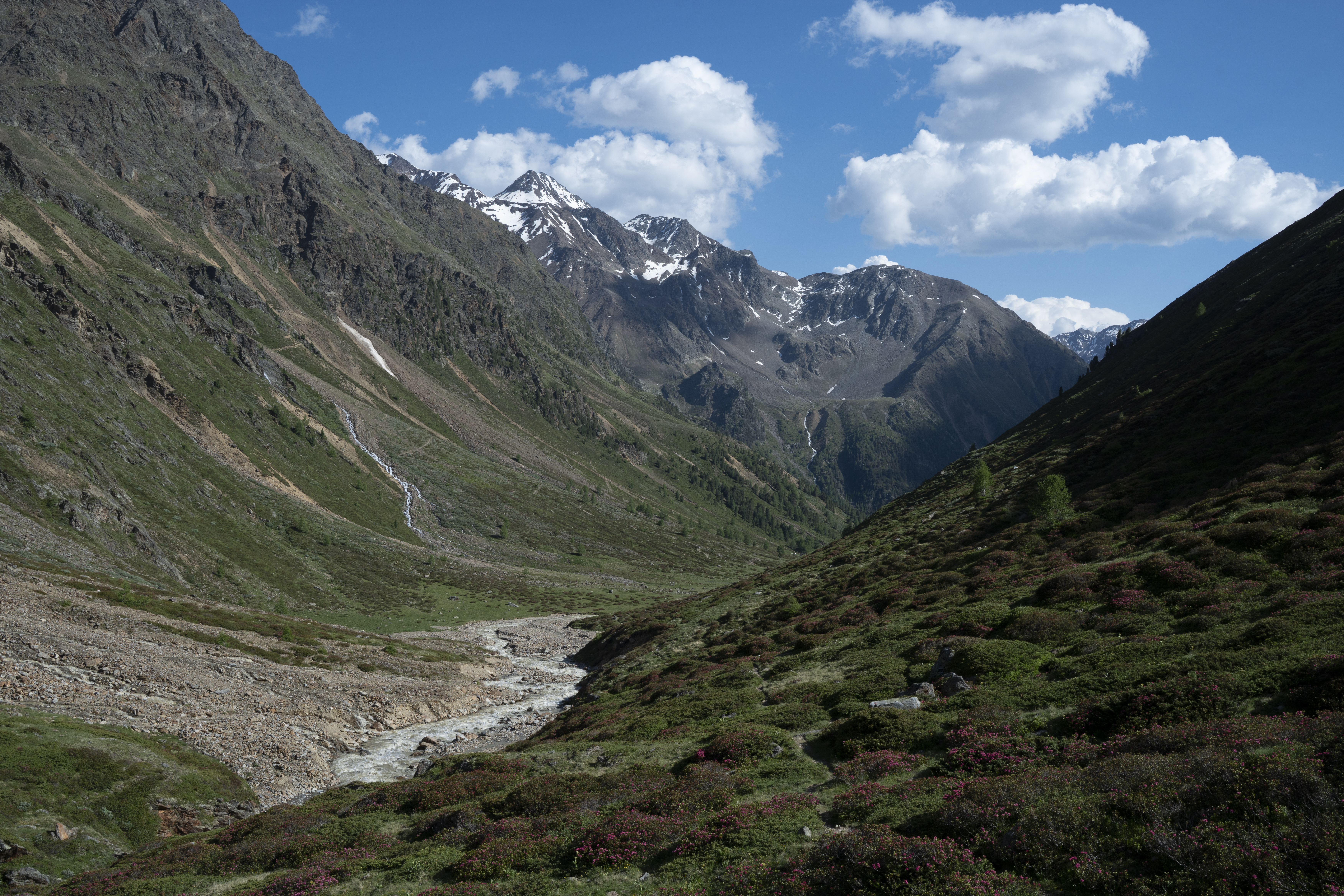 Long term ecological research in the Matsch/Mazia valley: Biomonitoring of aquatic ecosystems