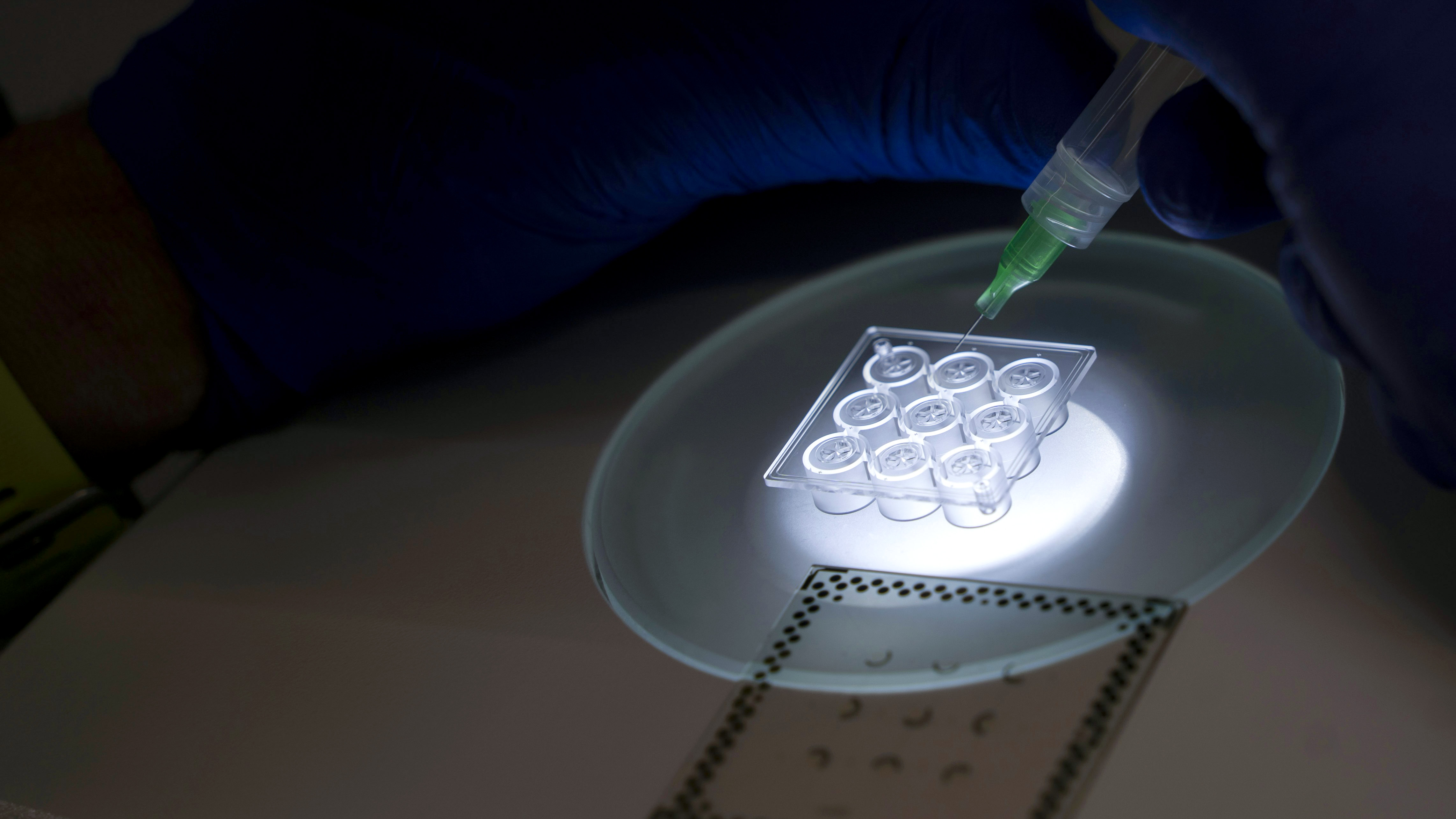 Piccoli grumi, enorme potenziale - Eurac Research, image size:768x1024