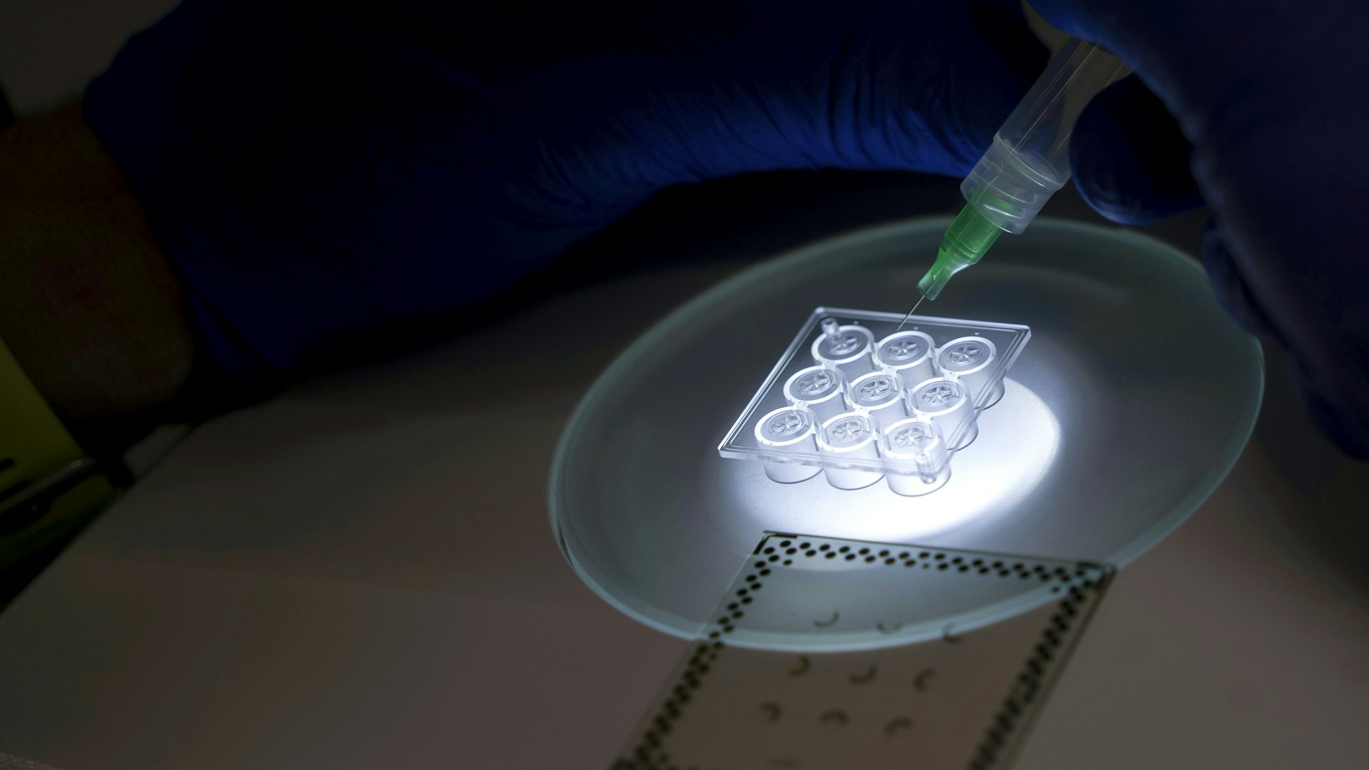 Piccoli grumi, enorme potenziale - Eurac Research, image size:1920x1080