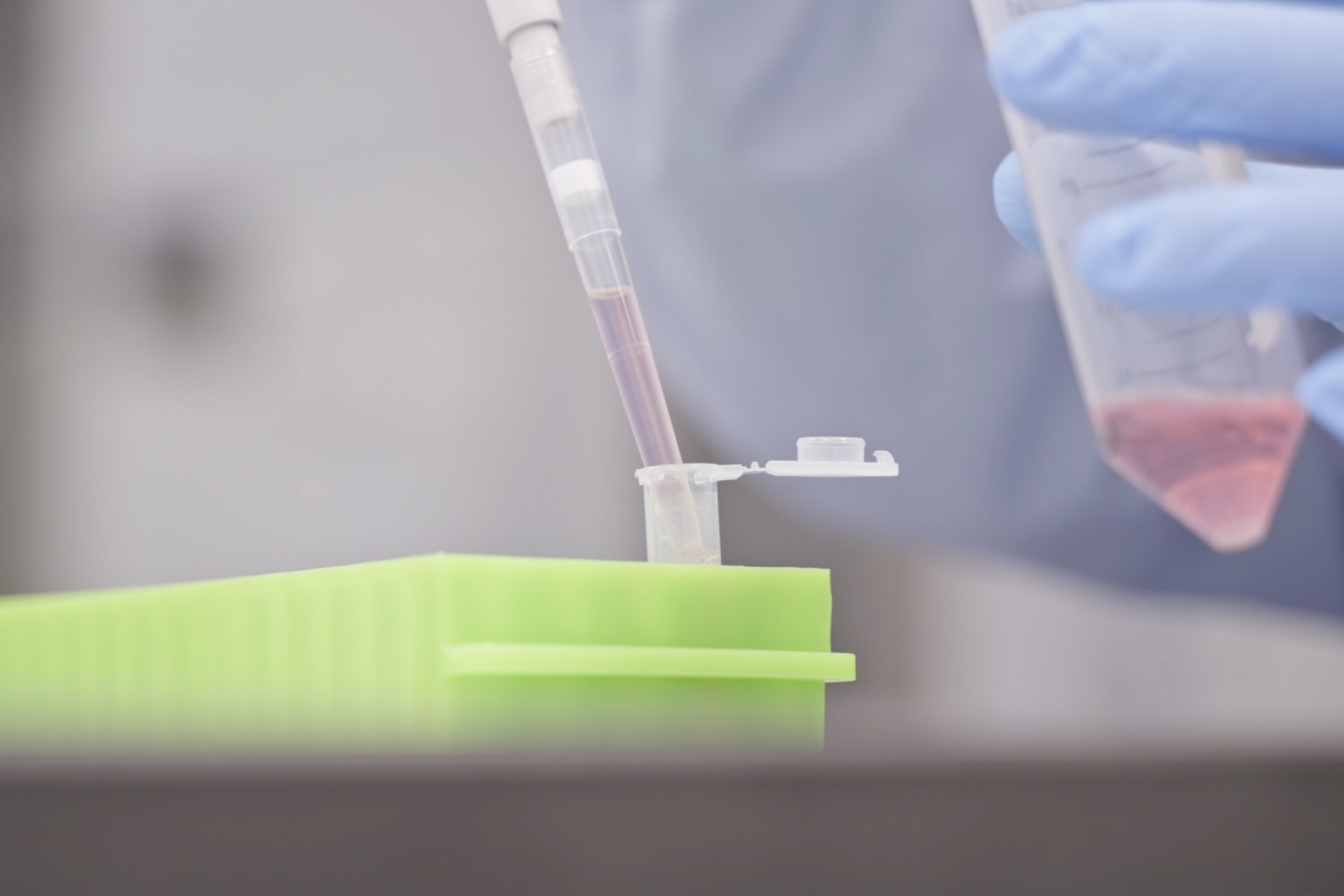 What goes around comes around