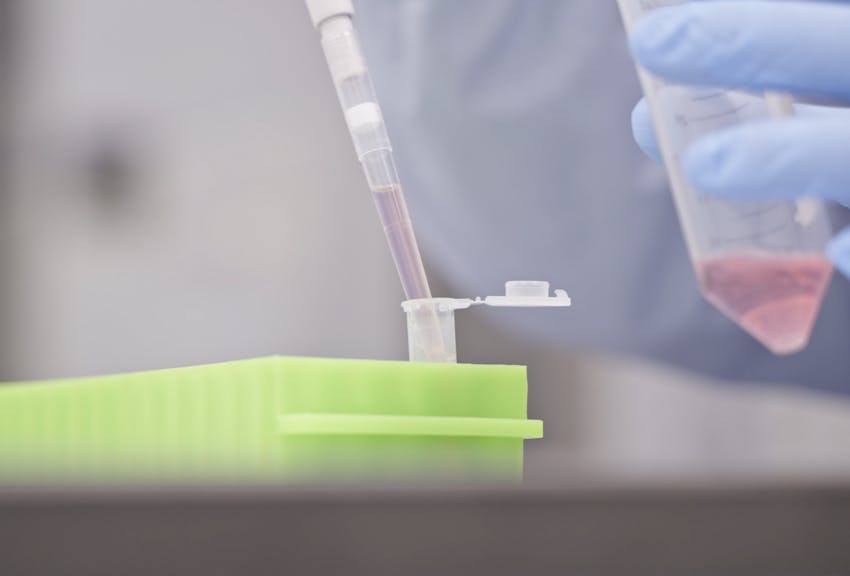 What goes around comes around