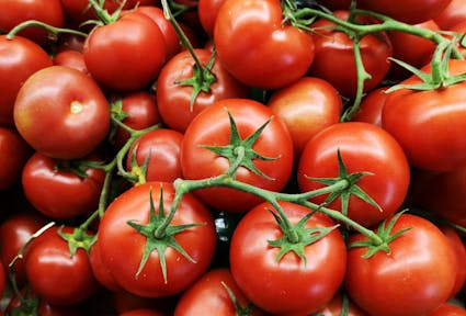 Red Gold and Black Labour: Life and Survival in the Ghettos of Southern Italy