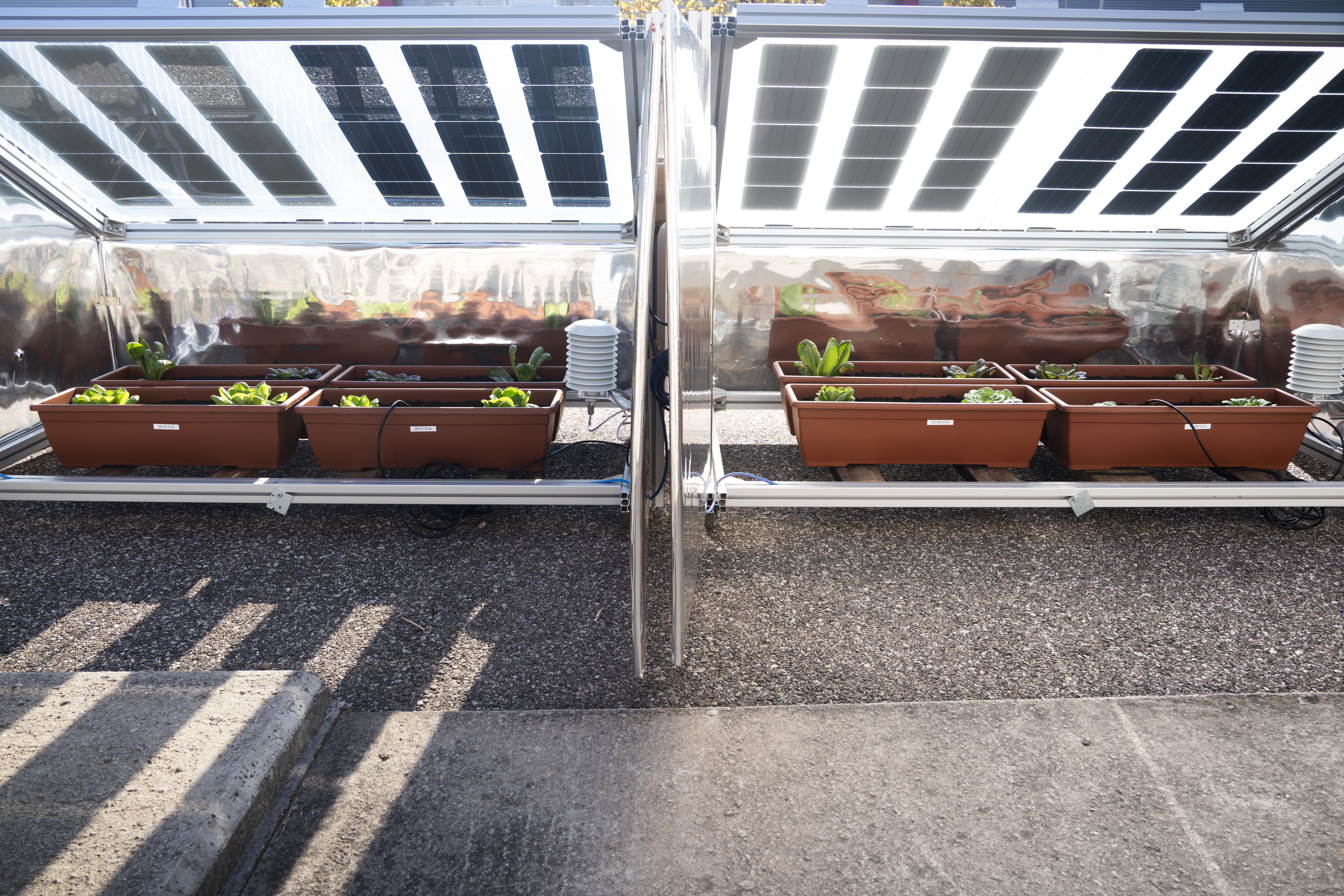 Engineering the Future of Agri-Voltaics: Discover the prototypes that protect crops and boost yields