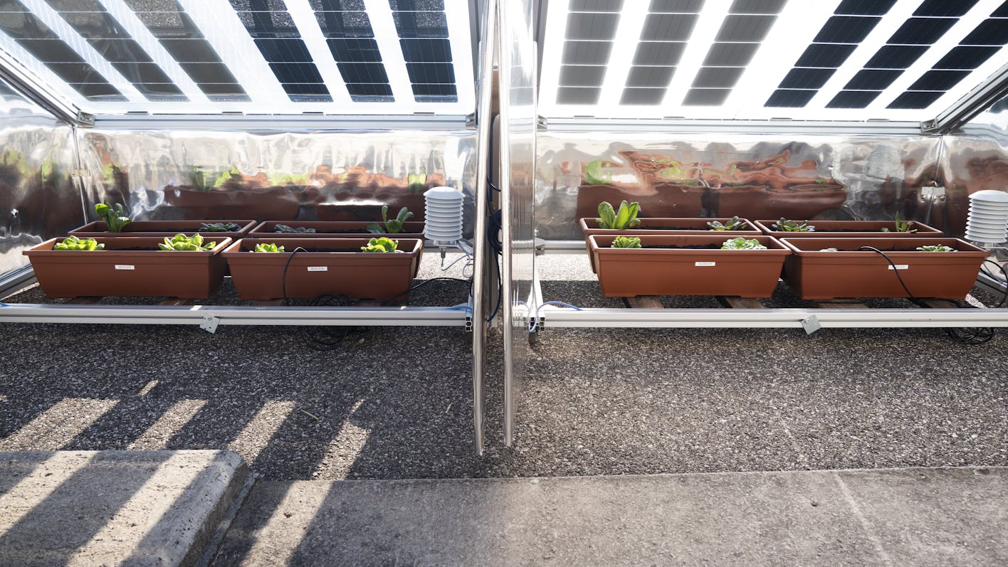 Engineering the Future of Agri-Voltaics: Discover the prototypes that protect crops and boost yields