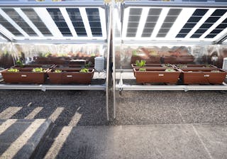 Engineering the Future of Agri-Voltaics: Discover the prototypes that protect crops and boost yields