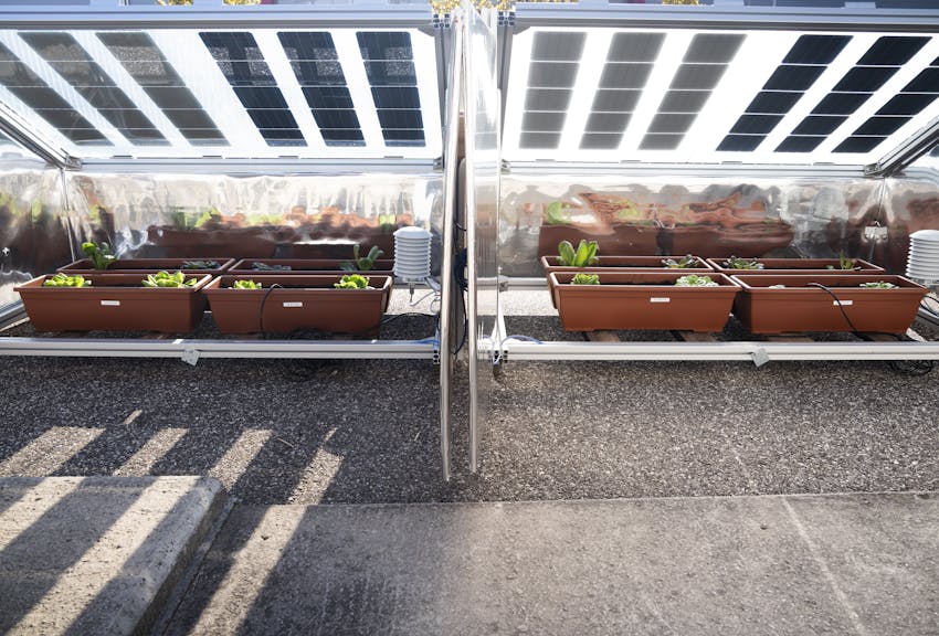 Engineering the Future of Agri-Voltaics: Discover the prototypes that protect crops and boost yields