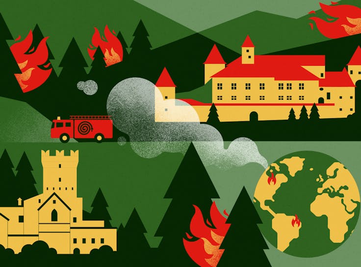 Wenn Wälder brennen: Ursachen, Risiken, Resilienz