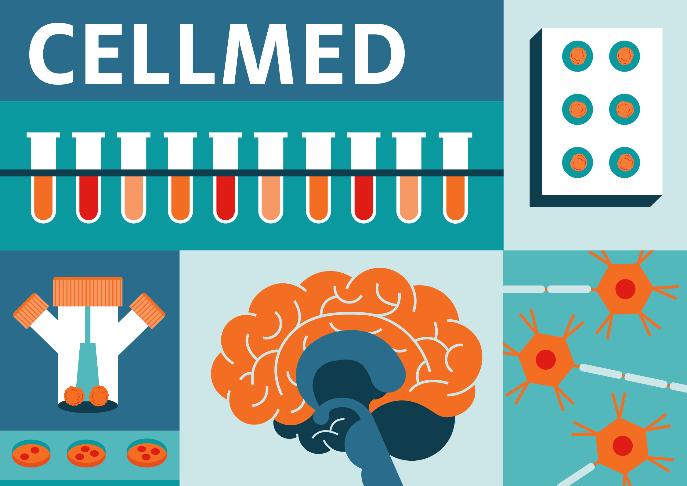 CELLMED launches its new visual identity