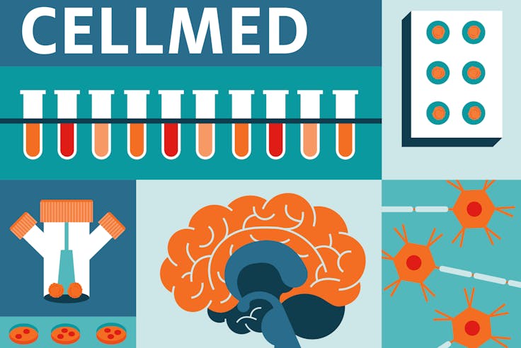 CELLMED launches its new visual identity